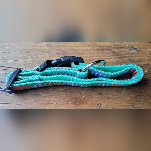 2 /$15 Hamilton Dog Collar Nylon Ribbon Overlay 18 - 26 Aqua Pastel Bones - Picture 5 of 8